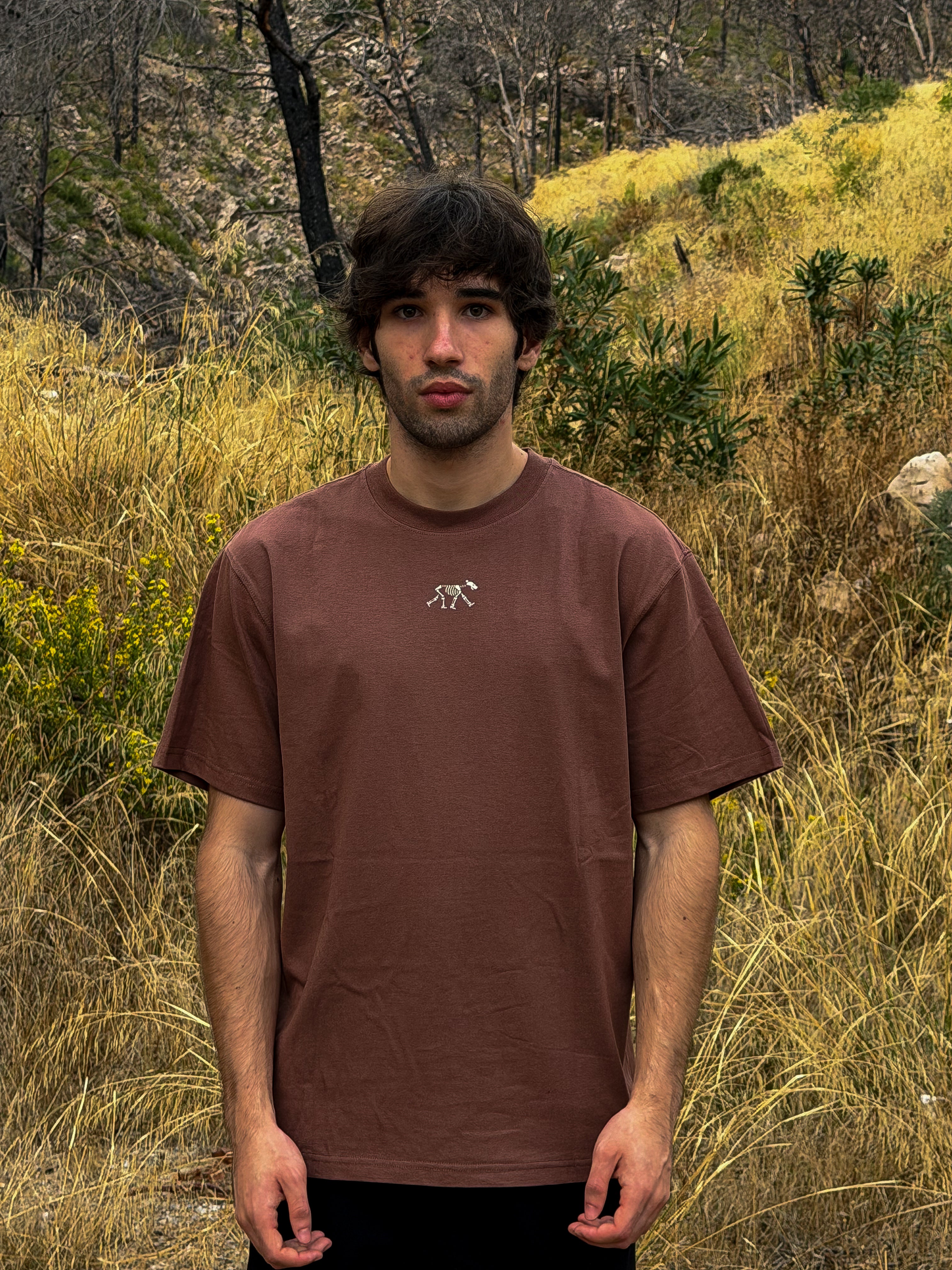 トップス kuma T-shirts – Kuma