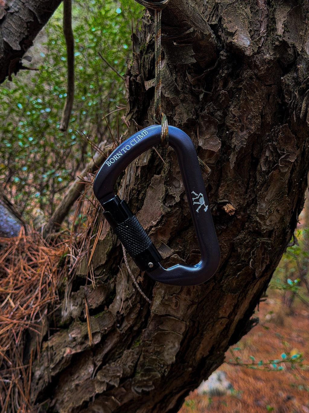 Mosquetón de Escalada Kuma® Summit Version