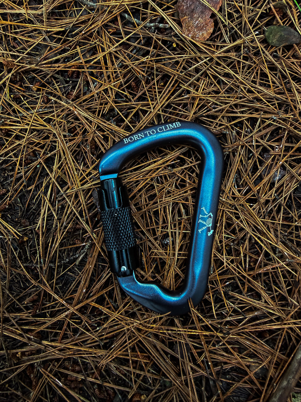 Mosquetón de Escalada Kuma® Summit Version