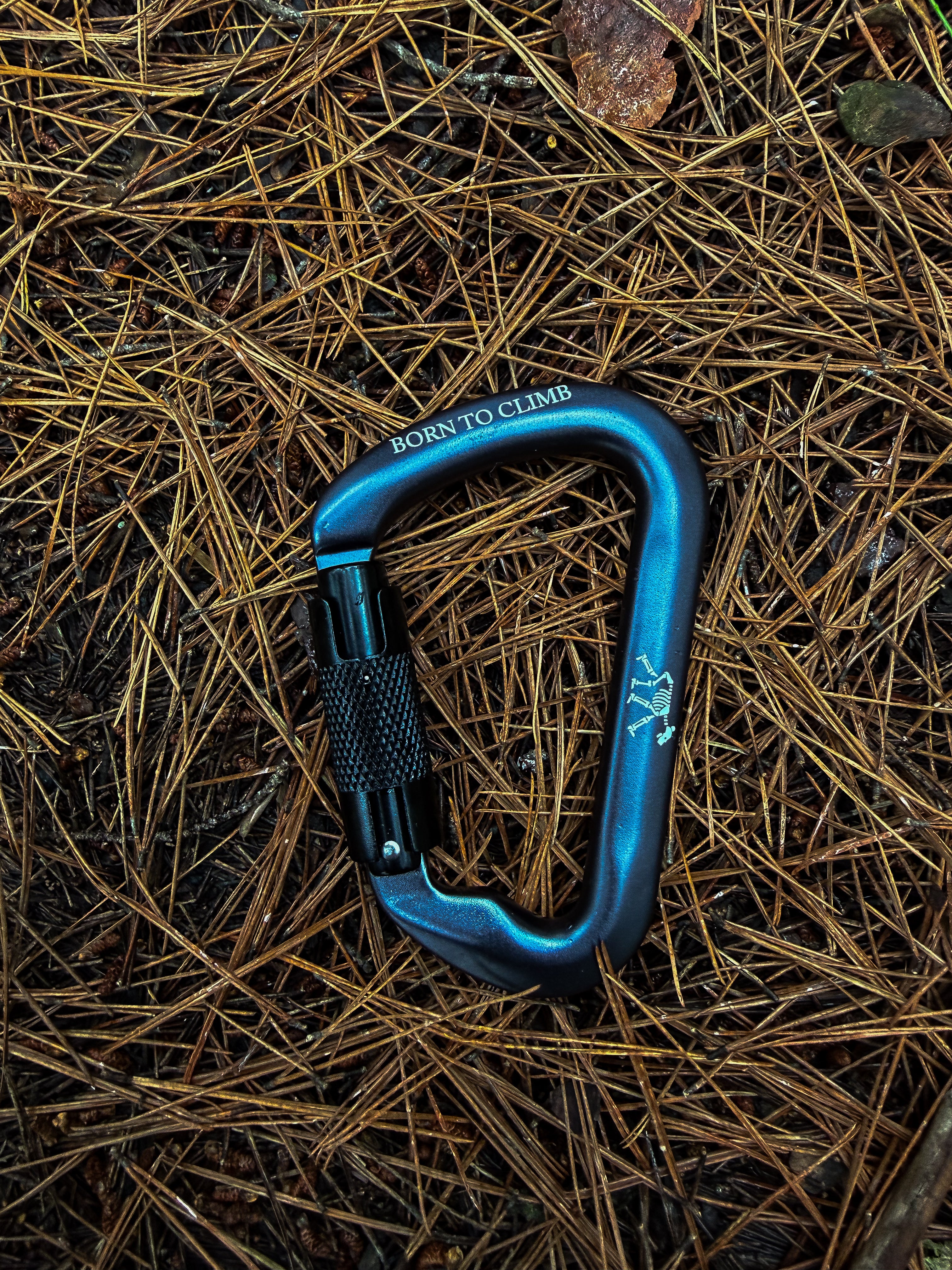 Mosquetón de Escalada Kuma® Summit Version